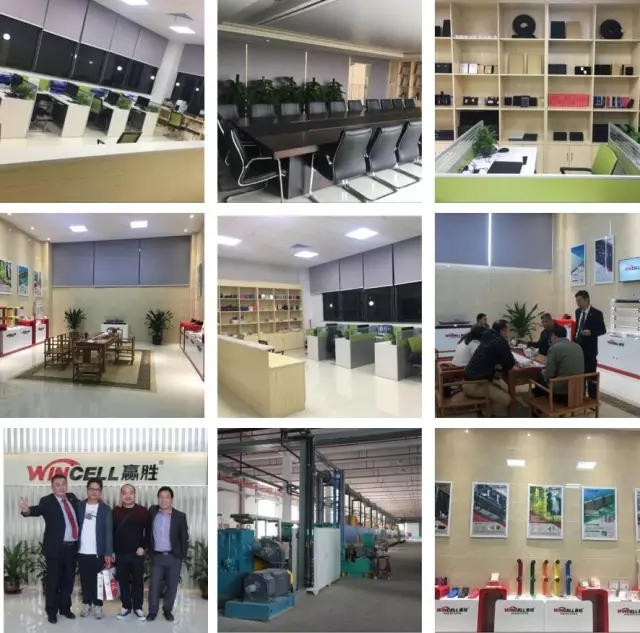 贏勝(廣東)節(jié)能有限公司正式起航 贏勝(廣東)節(jié)能有限公司正式起航