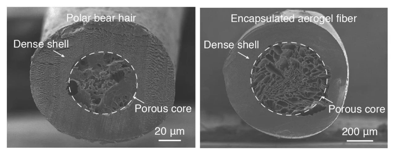 微信圖片_20231227091211.jpg 微信圖片_20231227091211.jpg